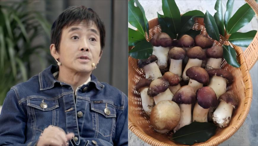 安东尼再现标志性转圈,2025年澳门正版管家婆资料,准确资料解释落实_试用版V5.17