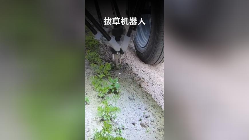 2025年澳门免费精准资料管冢婆,女子去二姑家探亲被整齐的被子惊到,创造力策略实施推广_云端版V5.41