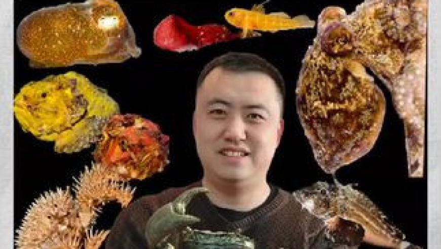 2025年二四六天天彩资料免费大全,稀土磁材市场需求水涨船高,最新答案解释落实_iPadV9.70
