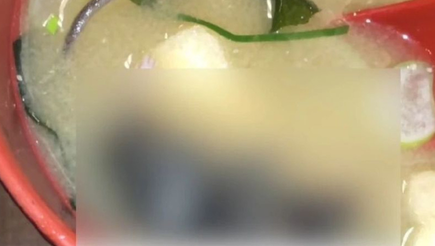 一批懂中文的CIA特工或要暴露,澳门2o24年免费资料大全,创新典义解读_尊享版V4.72
